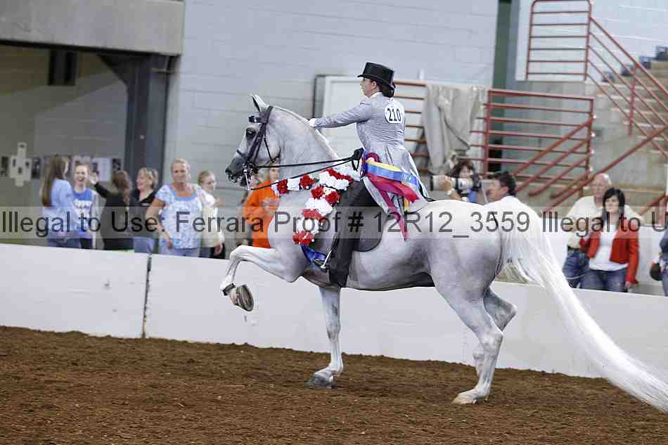 Proof Number 12r12_3559