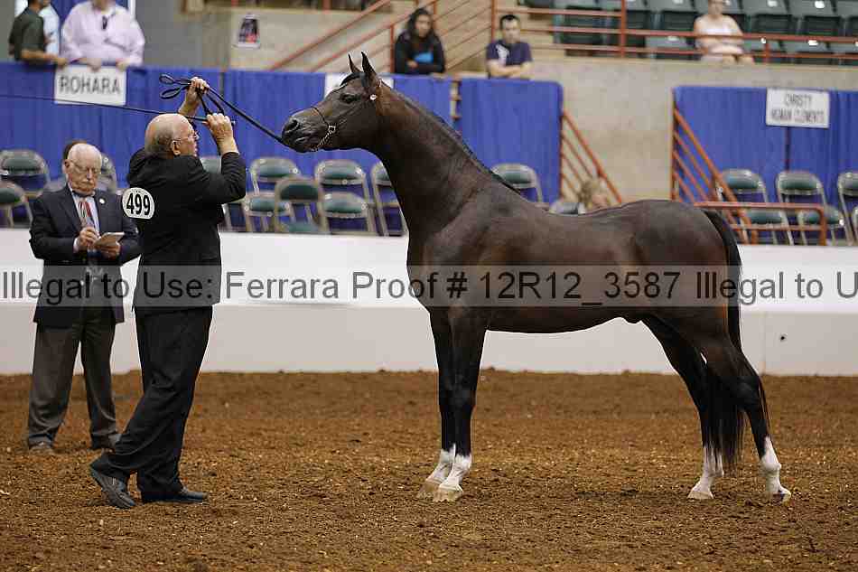 Proof Number 12r12_3587