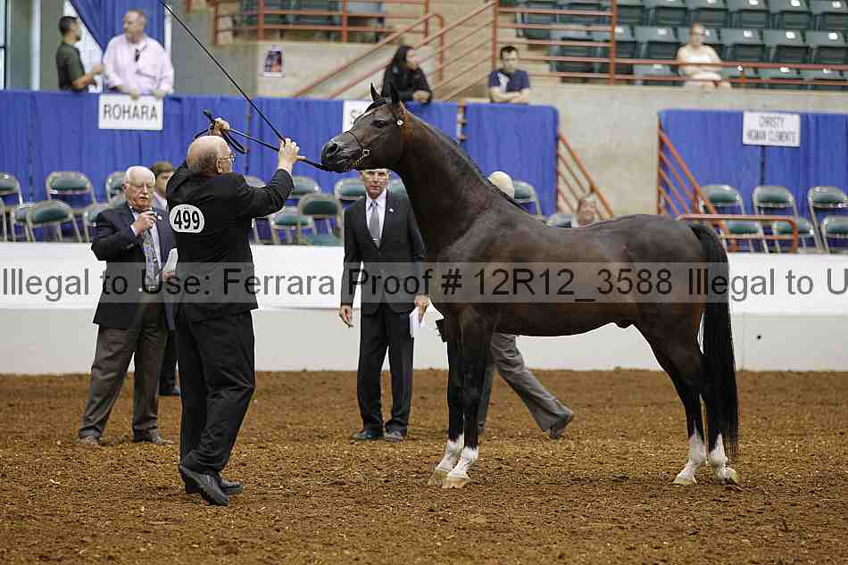 Proof Number 12r12_3588