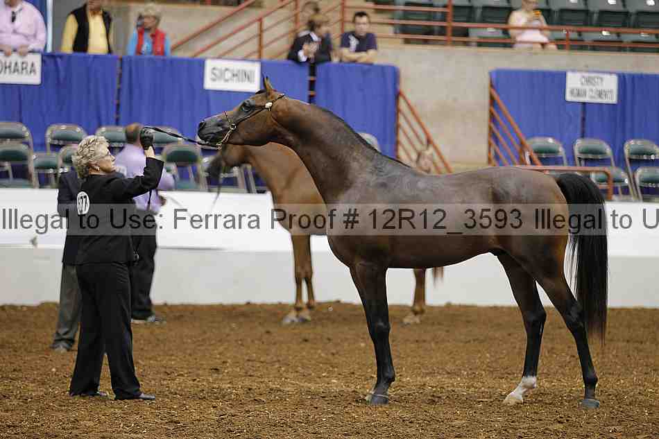 Proof Number 12r12_3593