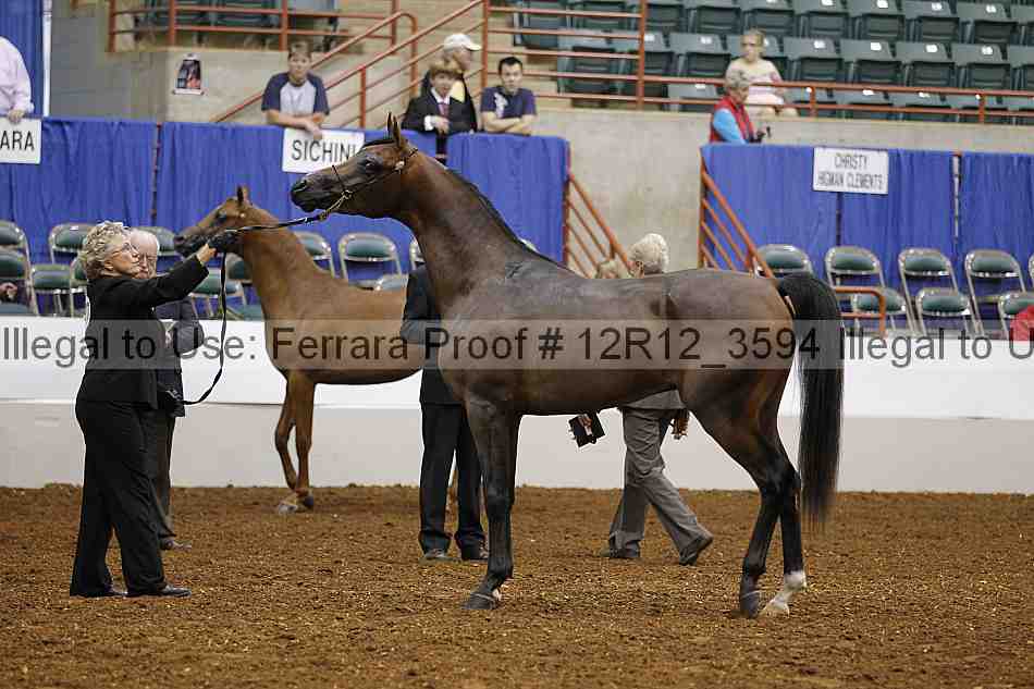 Proof Number 12r12_3594