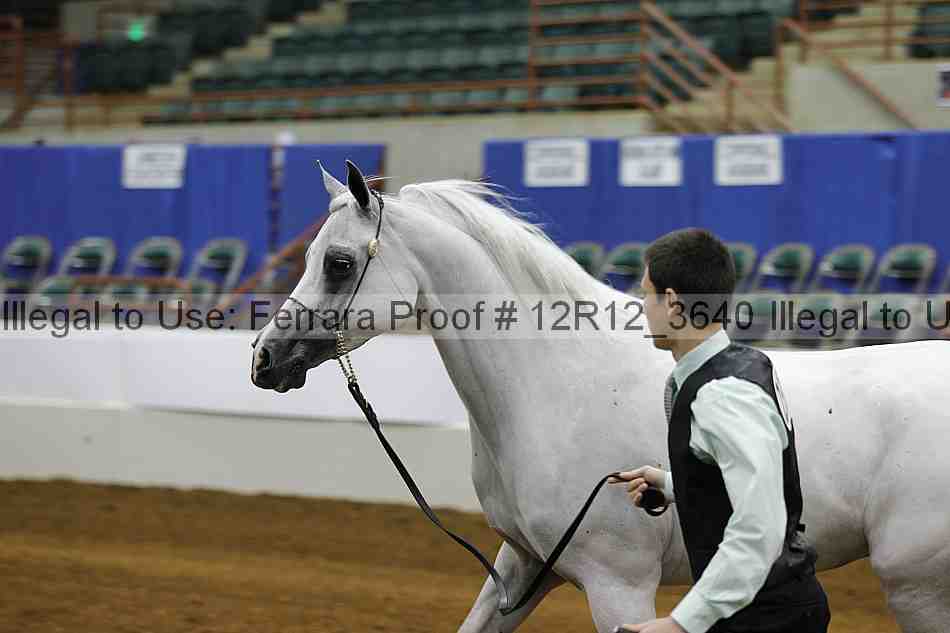 Proof Number 12r12_3640