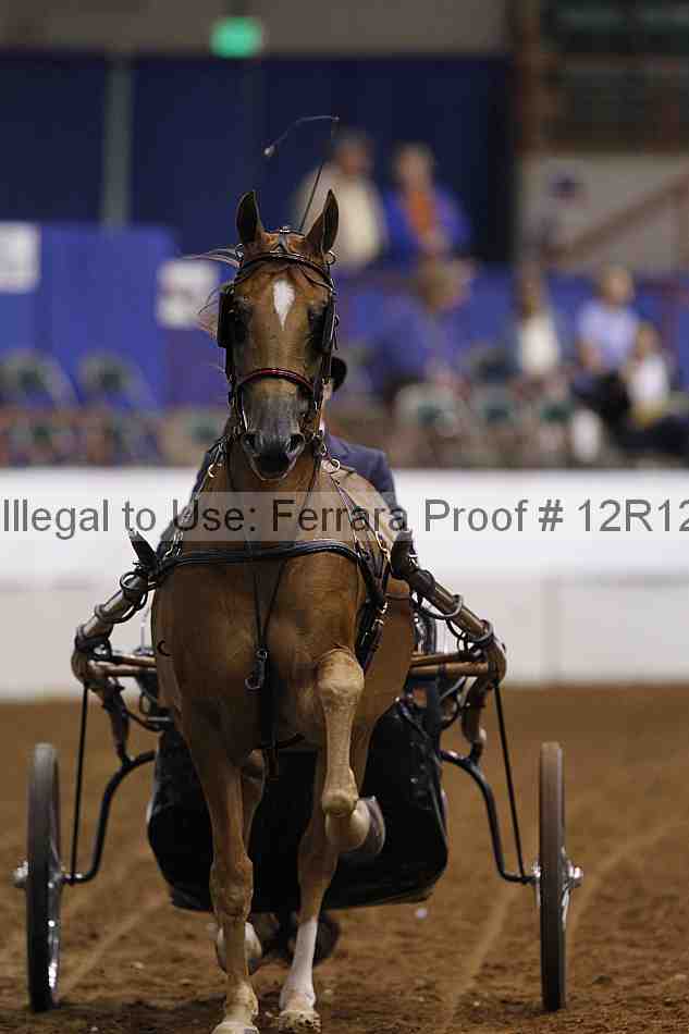 Proof Number 12r12_3715
