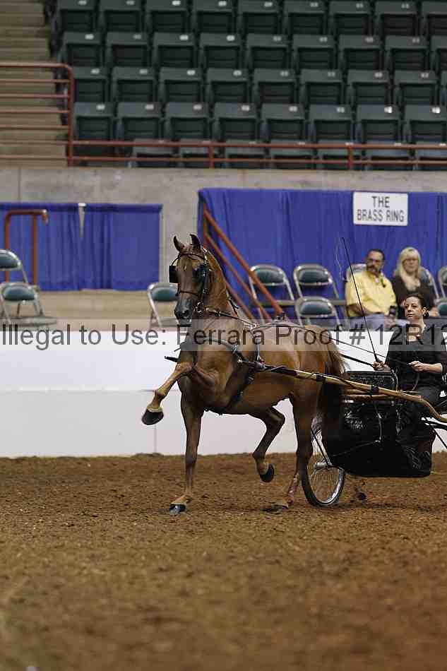 Proof Number 12r12_3718