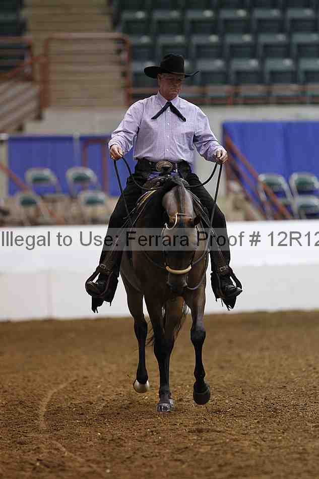 Proof Number 12r12_3746