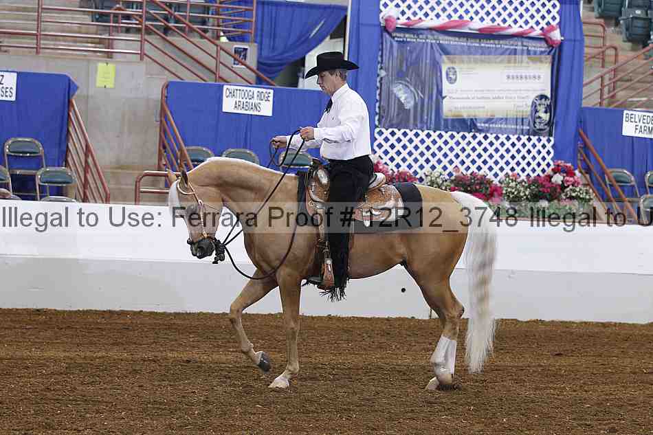 Proof Number 12r12_3748