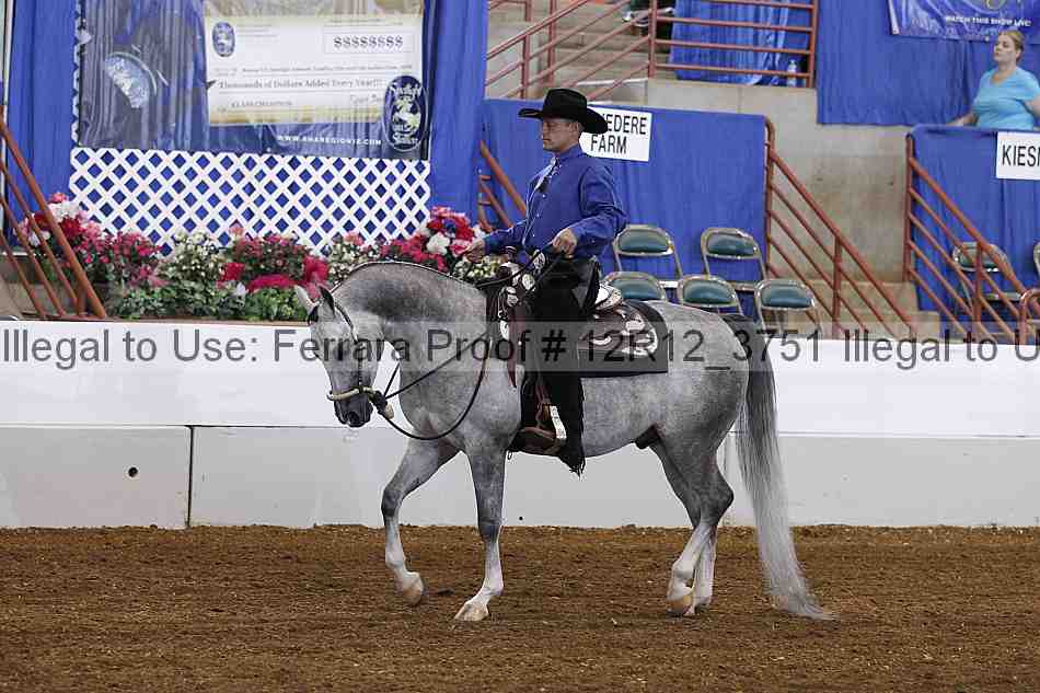 Proof Number 12r12_3751