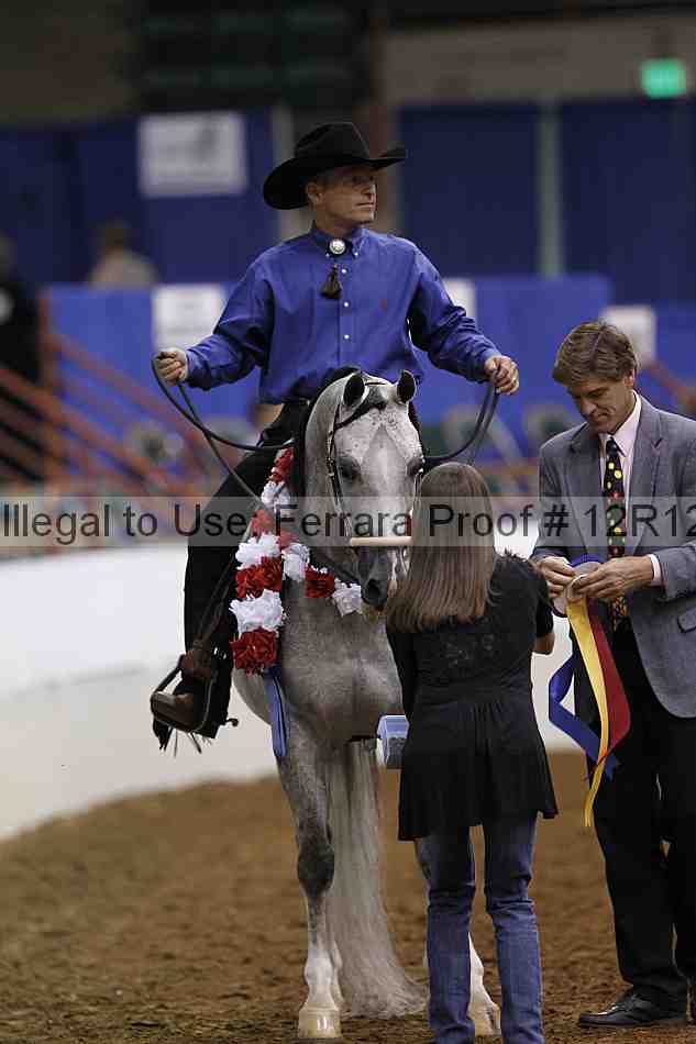 Proof Number 12r12_3765