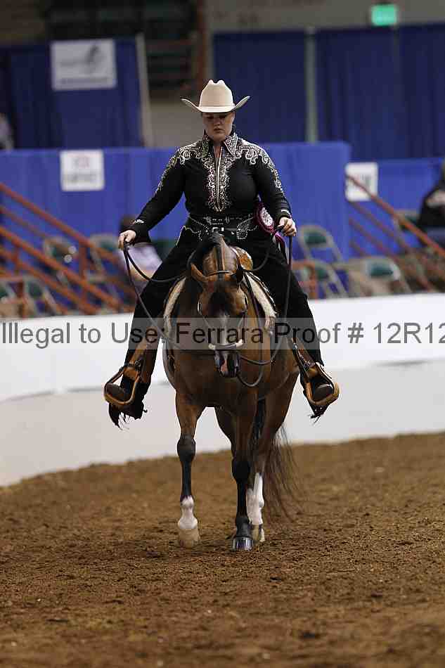 Proof Number 12r12_3768