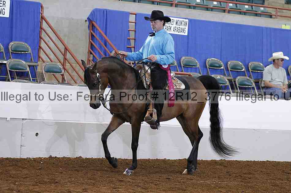 Proof Number 12r12_3776