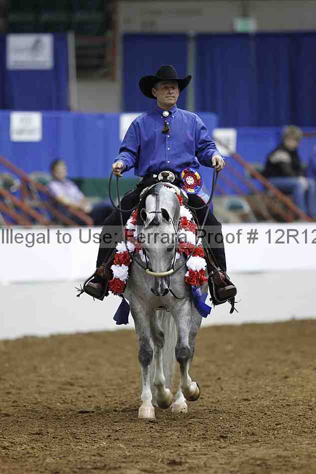 Proof Number 12r12_3779