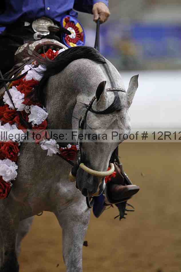 Proof Number 12r12_3781
