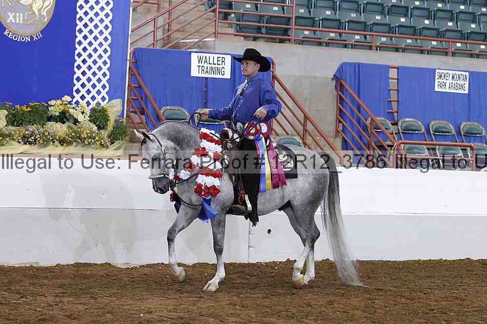 Proof Number 12r12_3786