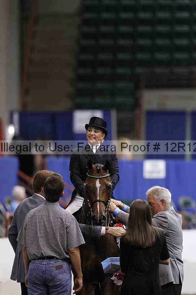 Proof Number 12r12_3817