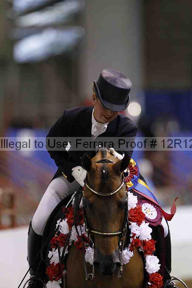 Proof Number 12r12_3823