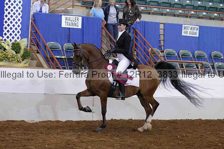 Proof Number 12r12_3833