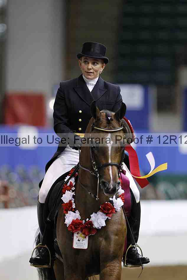 Proof Number 12r12_3838