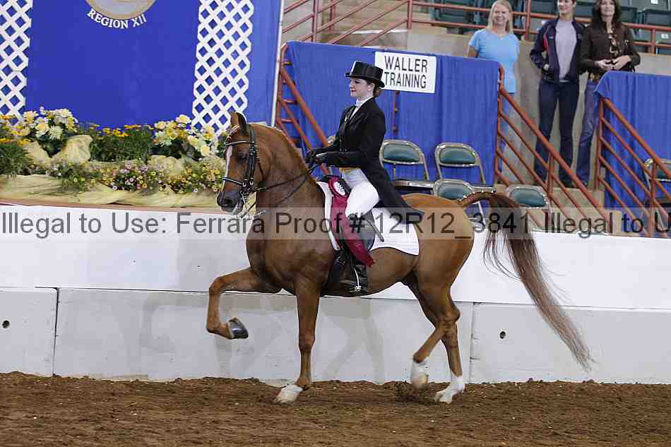 Proof Number 12r12_3841
