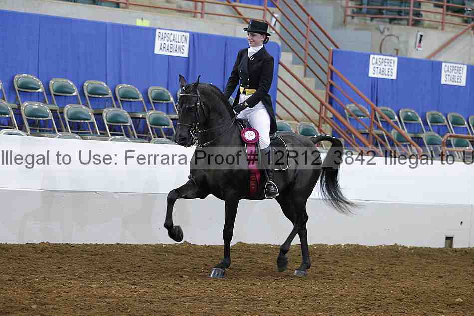 Proof Number 12r12_3842