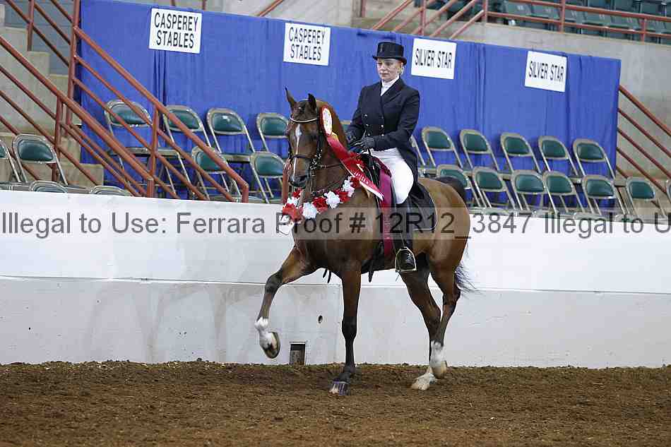 Proof Number 12r12_3847