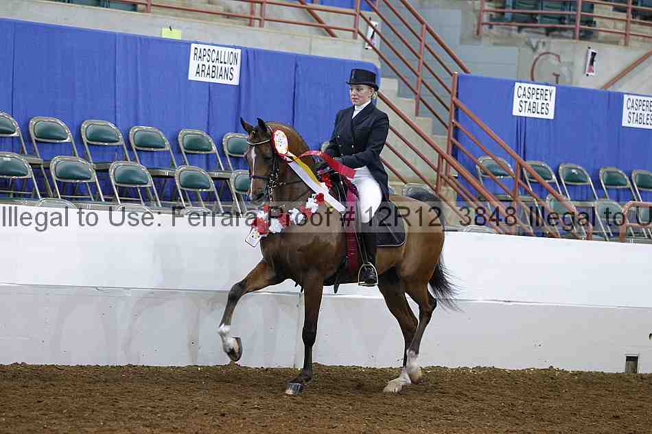Proof Number 12r12_3848
