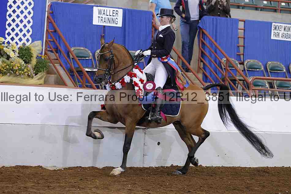 Proof Number 12r12_3851