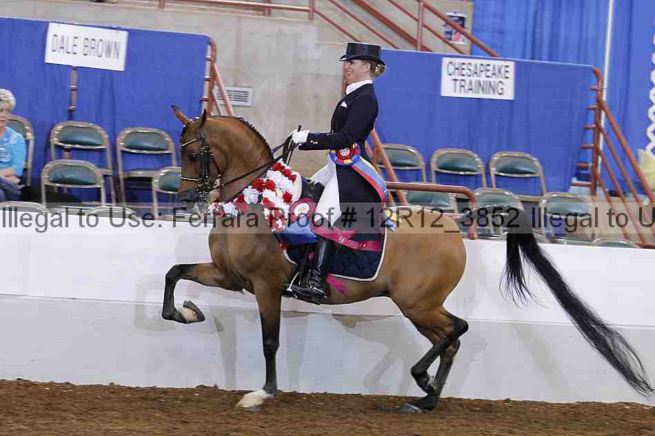 Proof Number 12r12_3852