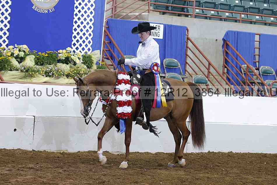 Proof Number 12r12_3864