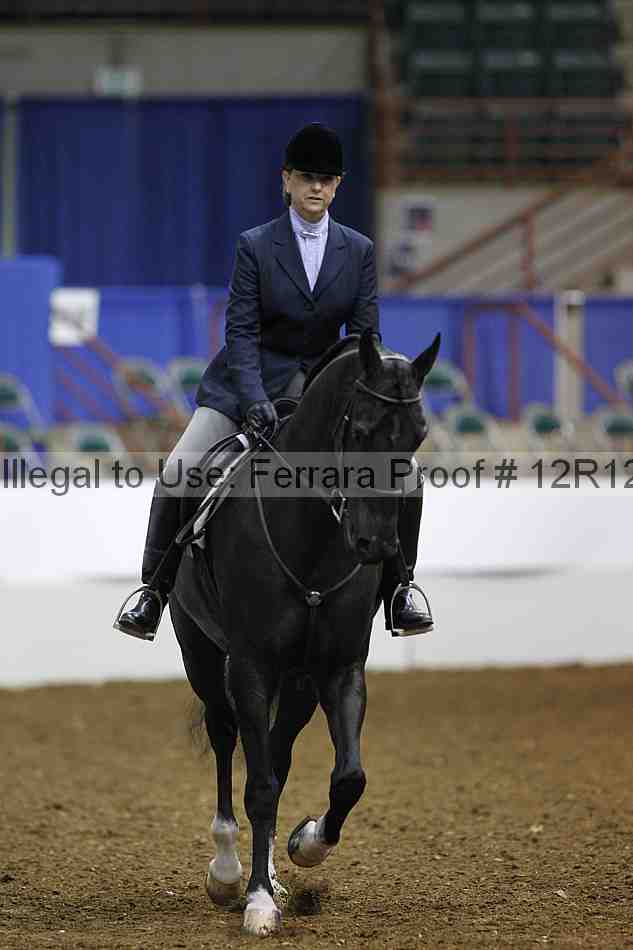 Proof Number 12r12_3866