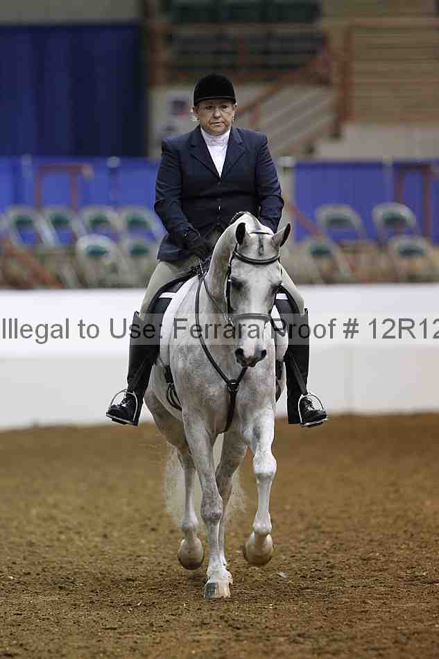Proof Number 12r12_3871