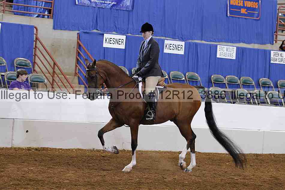 Proof Number 12r12_3886
