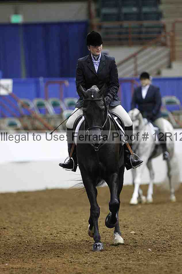 Proof Number 12r12_3897