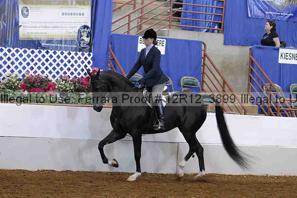 Proof Number 12r12_3899