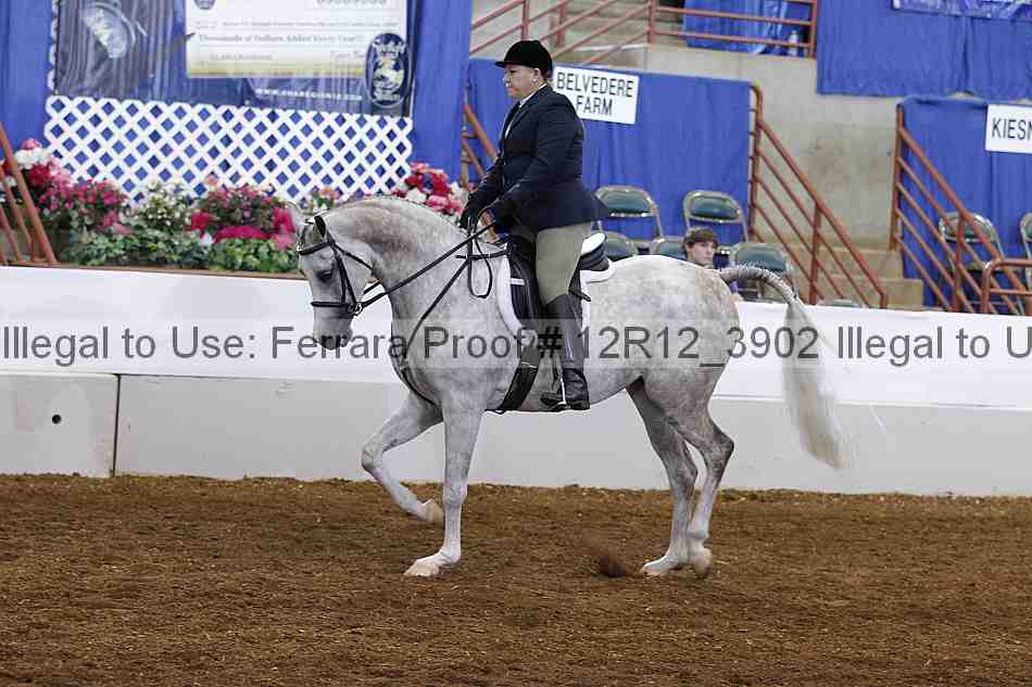 Proof Number 12r12_3902