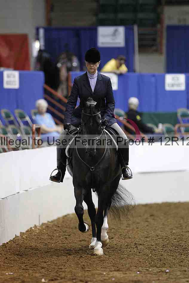 Proof Number 12r12_3920
