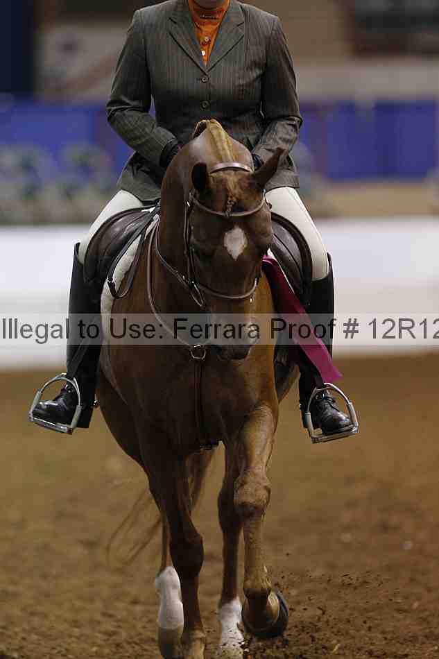 Proof Number 12r12_3922