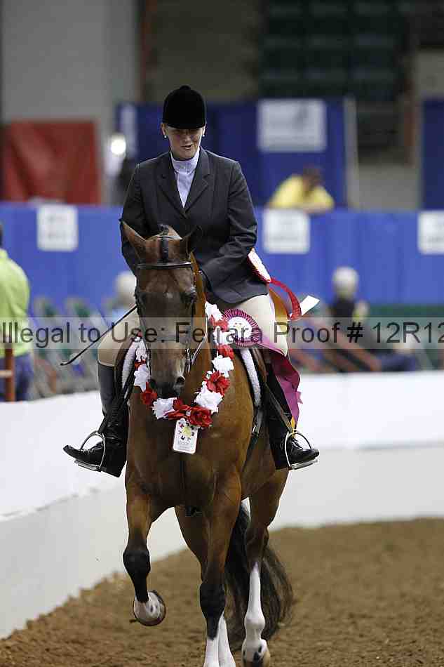 Proof Number 12r12_3929