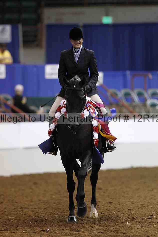 Proof Number 12r12_3933