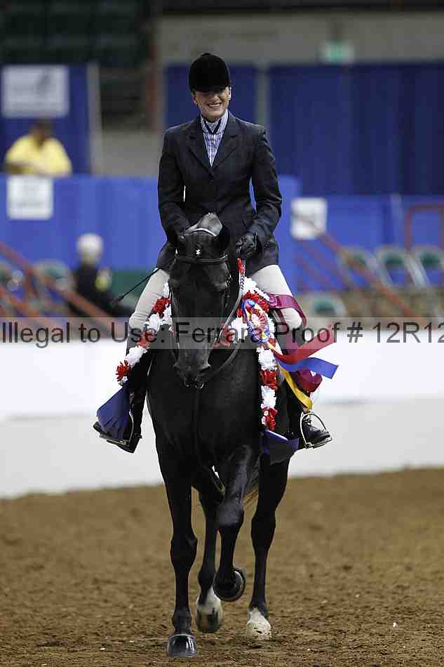 Proof Number 12r12_3935