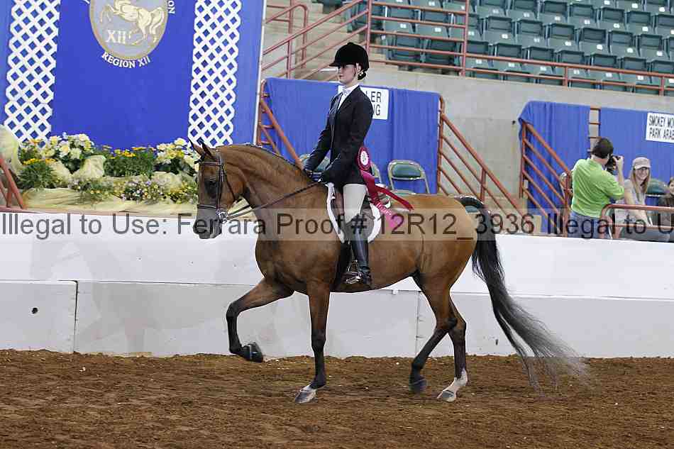 Proof Number 12r12_3936