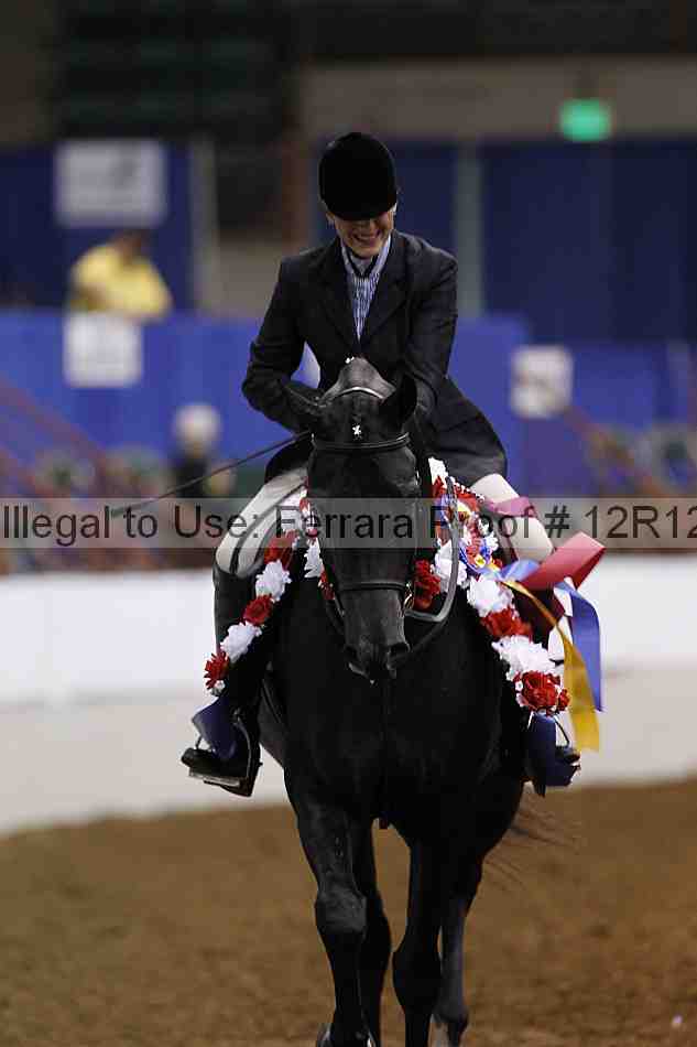 Proof Number 12r12_3937