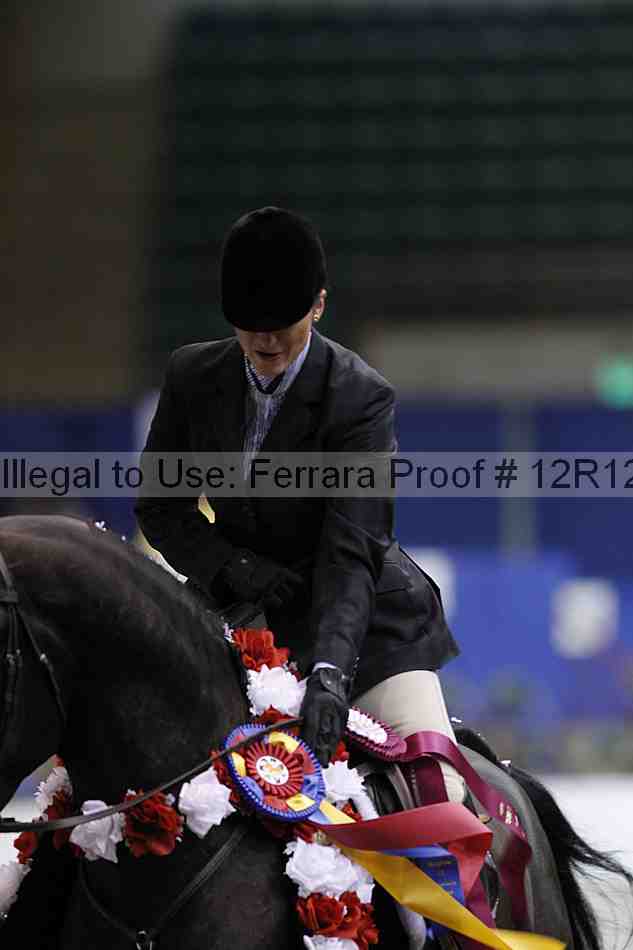 Proof Number 12r12_3939