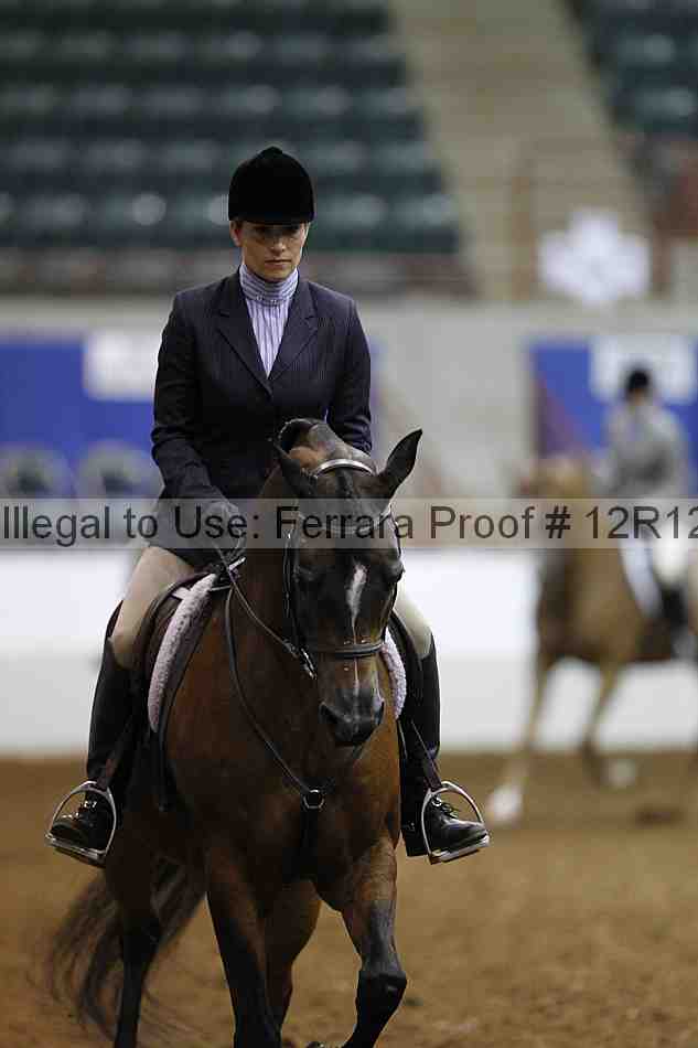 Proof Number 12r12_3977