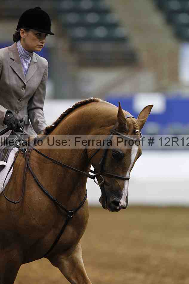 Proof Number 12r12_3982