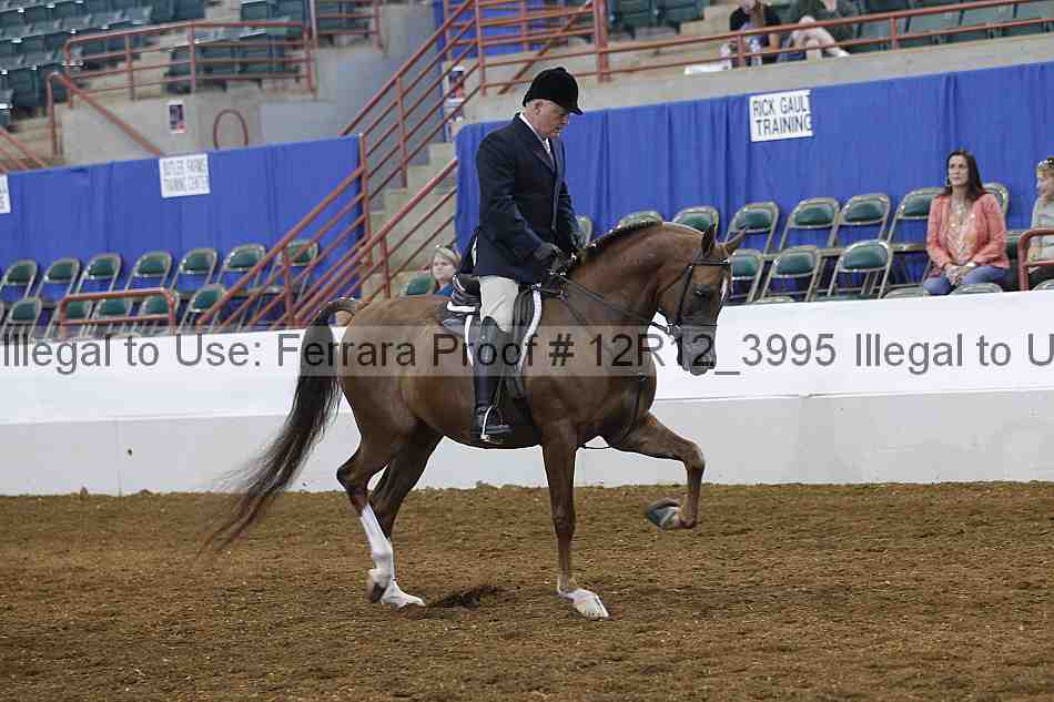 Proof Number 12r12_3995