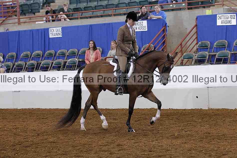 Proof Number 12r12_4002
