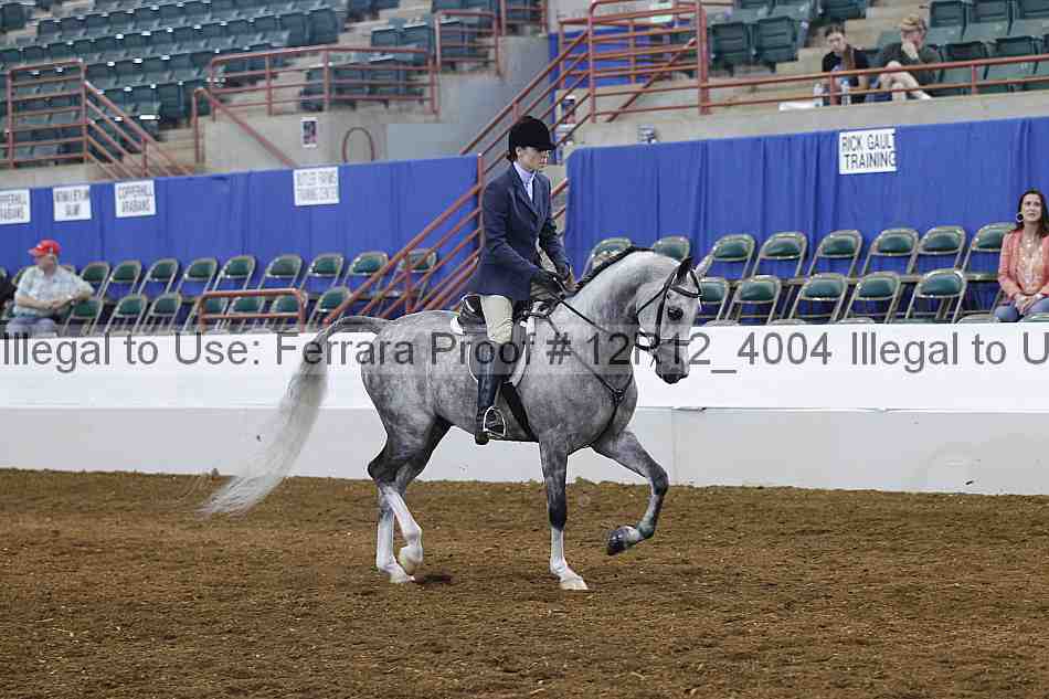 Proof Number 12r12_4004
