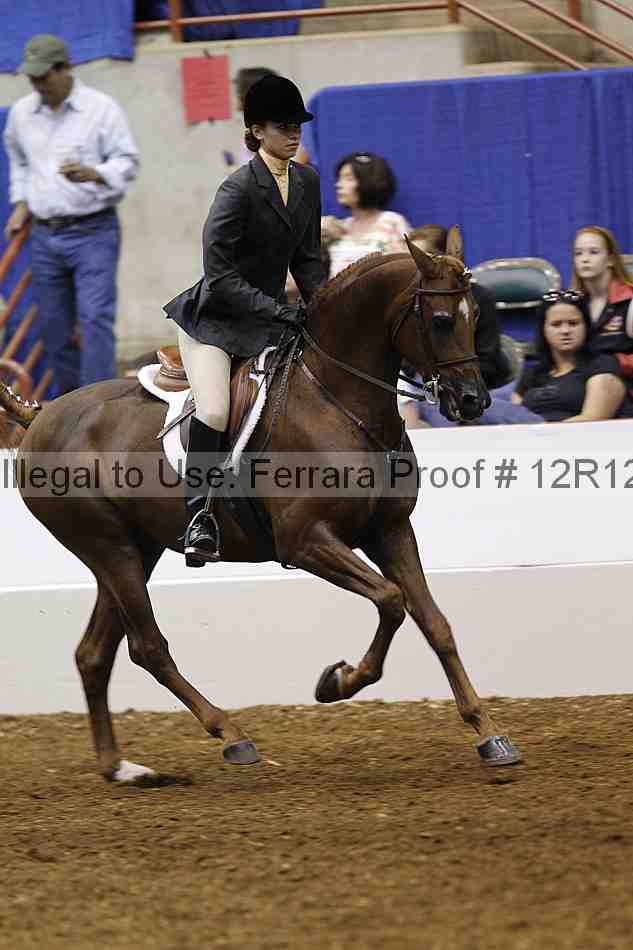 Proof Number 12r12_4007