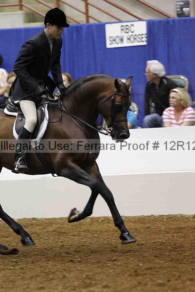 Proof Number 12r12_4008