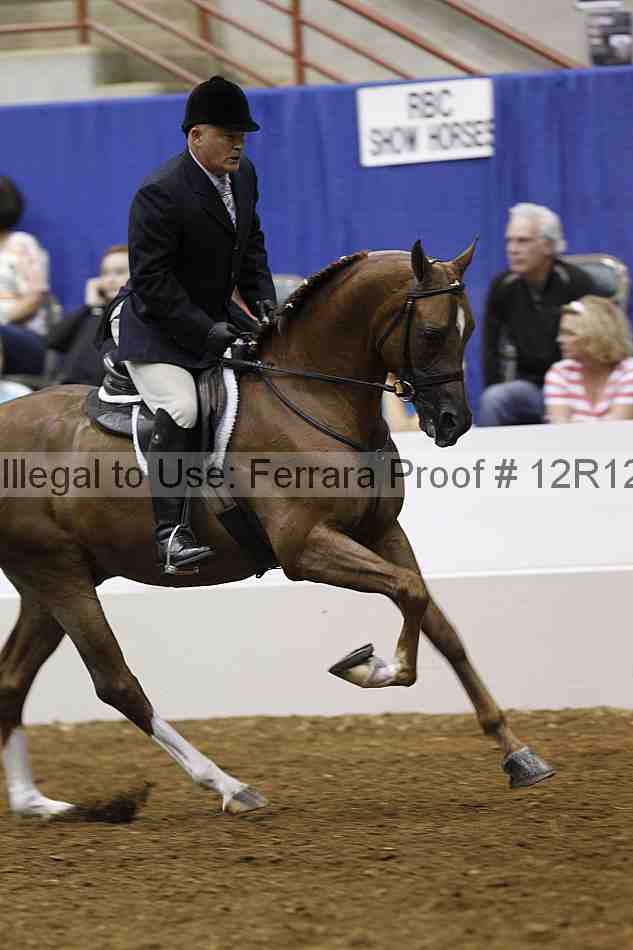 Proof Number 12r12_4009